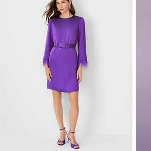 Elegant Purple Belted Dress